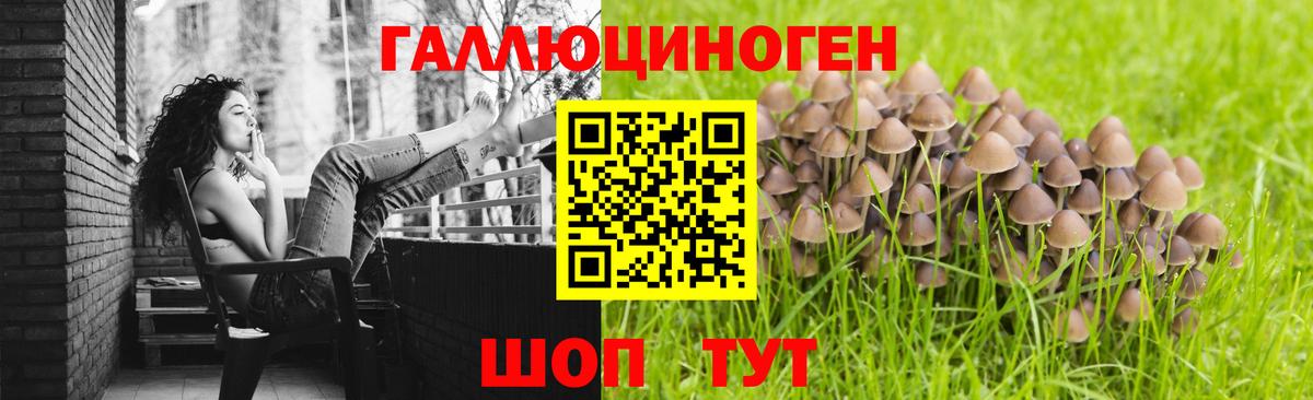 Полевской  Галлюциногенные грибы мицелий  Вход с VPN 